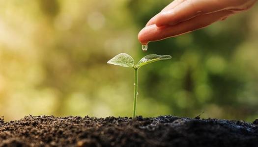 第十一屆中華環境獎啓動儀式在京舉行(xíng)